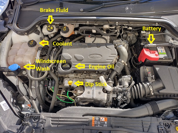Ford Focus engine bay